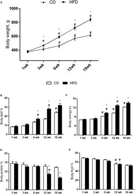 Long Feeding High-Fat Diet Induces Hypothalamic Oxidative Stress and Inflammation, and Prolonged Hypothalamic AMPK Activation in Rat Animal Model